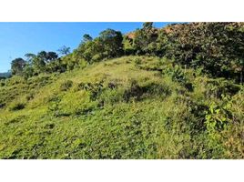  Terreno (Parcela) en venta en San Rafael, Antioquia, San Rafael