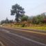  Terreno (Parcela) en venta en Totolapan, Morelos, Totolapan