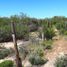Studio Villa for sale in Tecate, Baja California, Tecate, Baja California