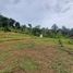  Terreno (Parcela) en venta en Sumurbandung, West Jawa, Sumurbandung