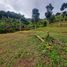  Terreno (Parcela) en venta en Sumurbandung, West Jawa, Sumurbandung