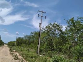  Terreno (Parcela) en venta en Yaxkukul, Yucatán, Yaxkukul