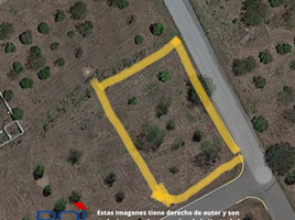  Land for sale in Allende, Nuevo Leon, Allende