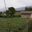  Grundstück zu verkaufen in Lembang, West Jawa, Lembang, Bandung, West Jawa, Indonesien