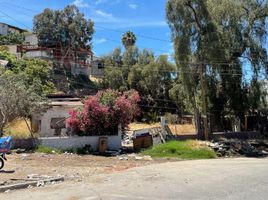  Grundstück zu verkaufen in Tijuana, Baja California, Tijuana