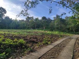  Tanah for sale in Pengasih, Kulon Progo, Pengasih