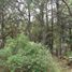  Land for sale in Singuilucan, Hidalgo, Singuilucan