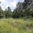  Land for sale in Singuilucan, Hidalgo, Singuilucan