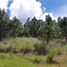  Land for sale in Singuilucan, Hidalgo, Singuilucan