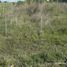 Land for sale in La Costa, Buenos Aires, La Costa