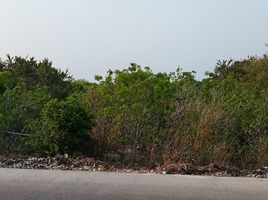  Land for sale in Merida, Yucatan, Merida, Yucatan