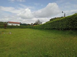  Land for sale in Pereira, Risaralda, Pereira