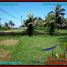  Land for sale in Selemadeg, Tabanan, Selemadeg