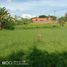  Land for sale in Seririt, Buleleng, Seririt