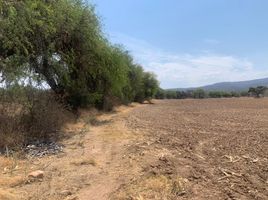  Grundstück zu verkaufen in Tequisquiapan, Queretaro, Tequisquiapan
