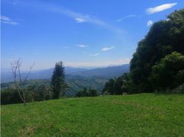  Land for sale in Manizales, Caldas, Manizales