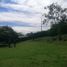  Land for sale in Manizales, Caldas, Manizales