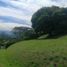  Land for sale in Manizales, Caldas, Manizales