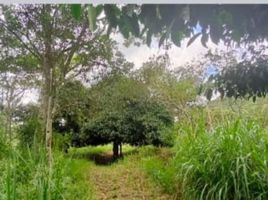 Studio House for sale in Colombia, La Vega, Cundinamarca, Colombia