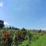  Terreno (Parcela) en venta en Karangploso, East Jawa, Karangploso