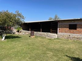 在Chapala, Jalisco出租的4 卧室 屋, Chapala