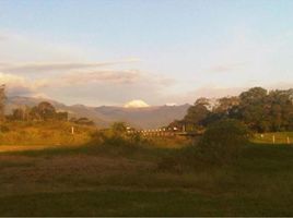  Grundstück zu verkaufen in Salento, Quindio, Salento
