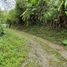  Land for sale in Filandia, Quindio, Filandia