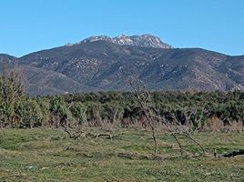  Grundstück zu verkaufen in Ensenada, Baja California, Ensenada