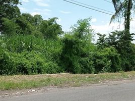  Land for sale in Kalasan, Sleman, Kalasan