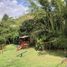 2 Habitación Casa en alquiler en Valle Del Cauca, Cali, Valle Del Cauca