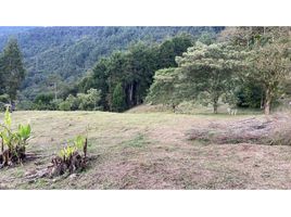  Land for sale in Sabaneta, Antioquia, Sabaneta