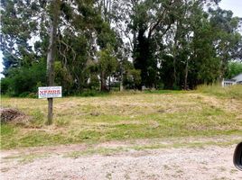  Land for sale in General Pueyrredon, Buenos Aires, General Pueyrredon