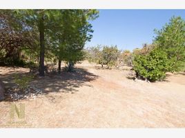  Terreno (Parcela) en venta en Lagos De Moreno, Jalisco, Lagos De Moreno