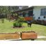 3 Bedroom House for sale in Guarne, Antioquia, Guarne