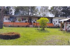 3 Habitación Casa en venta en Guarne, Antioquia, Guarne