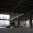 13,227 Sqft Office for rent in Baja California, Tijuana, Baja California