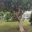 3 Schlafzimmer Villa zu verkaufen in Othon P Blanco, Quintana Roo, Othon P Blanco