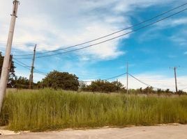 Terreno (Parcela) en venta en Calamba City, Calabarzon, Calamba City, Laguna, Calabarzon, Filipinas