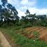  Land for sale in Lembang, West Jawa, Lembang, Bandung