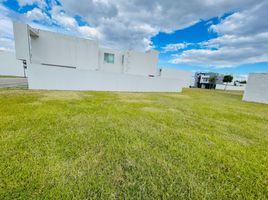 Terrain à vendre à Santa Isabel Cholula, Puebla, Santa Isabel Cholula