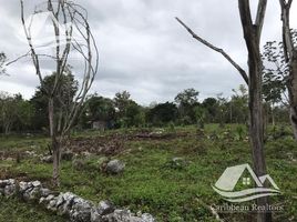 Terrain à vendre à Isla Mujeres, Quintana Roo, Isla Mujeres