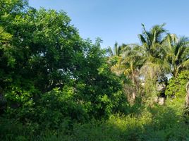  Land for sale in Merida, Yucatan, Merida, Yucatan