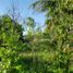  Land for sale in Merida, Yucatan, Merida, Yucatan