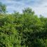  Land for sale in Merida, Yucatan, Merida, Yucatan