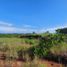  Land for sale in Cocle, Anton, Anton, Cocle