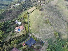  Terreno (Parcela) en venta en Caldas, Palestina, Caldas