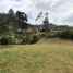  Grundstück zu verkaufen in Rionegro, Antioquia, Rionegro, Antioquia