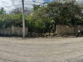 Terrain à vendre à Tizimin, Yucatan, Tizimin
