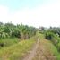  Tanah for sale in Karangploso, East Jawa, Karangploso