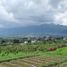  Tanah for sale in Karangploso, East Jawa, Karangploso